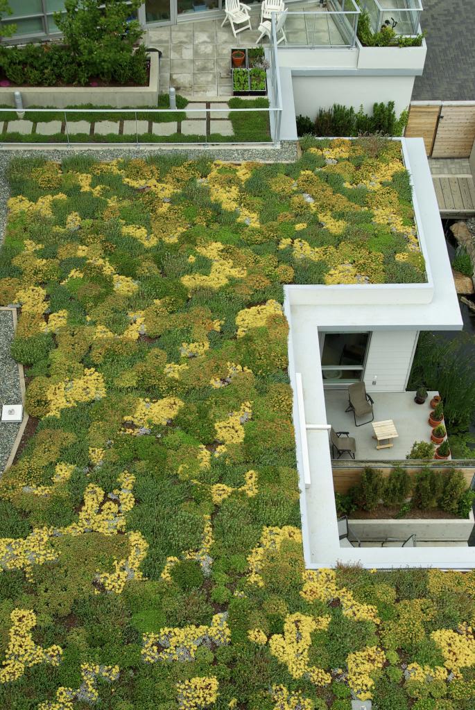 Foto: Green Roofs Australasia