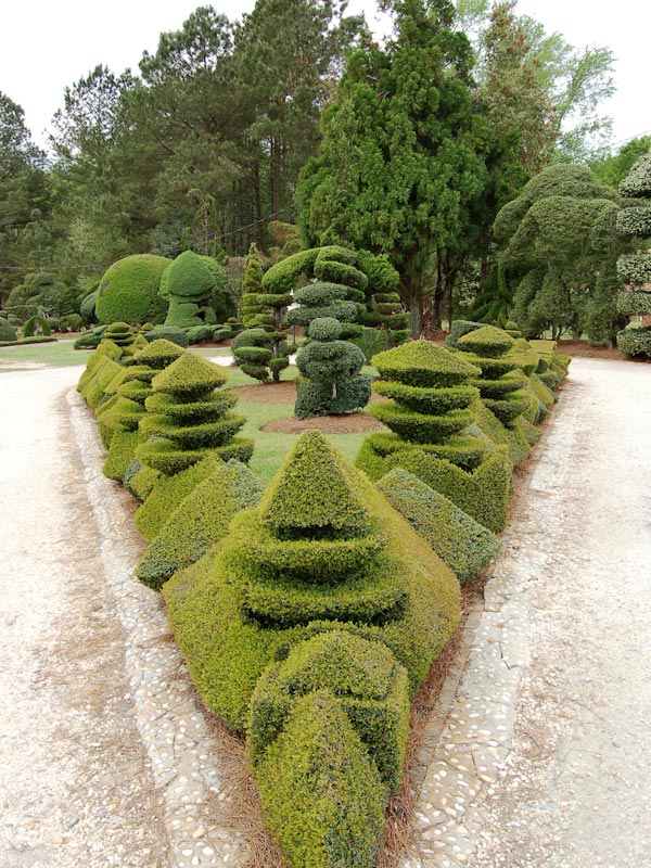 Pearl Fryar Topiary Garden