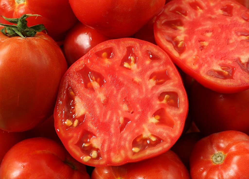 tomate semillas1