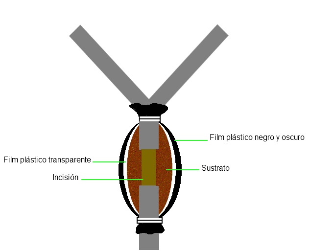 acodo aéreo1