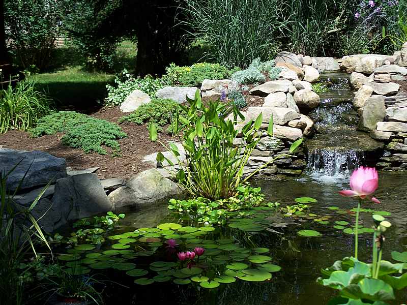 estanque en jardín