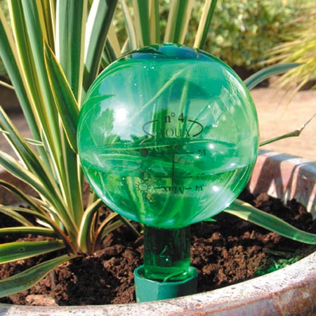 Cuidados para plantas de interior: riego y agua justa