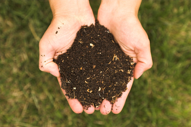 Abonos y fertilizantes ecológicos para tu jardín