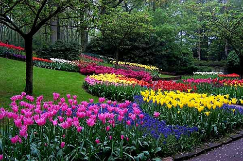 Cómo armar tu jardín en verano