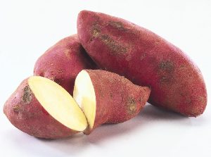 Trabajo en la huerta: cultivo de batata
