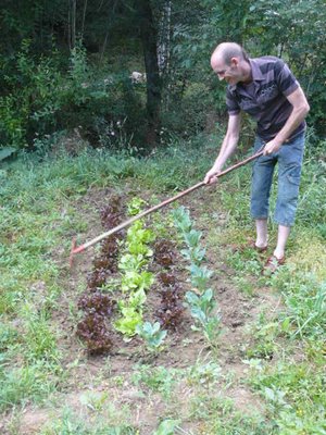 Calendario de siembra para huerta (Hemisferio Sur)