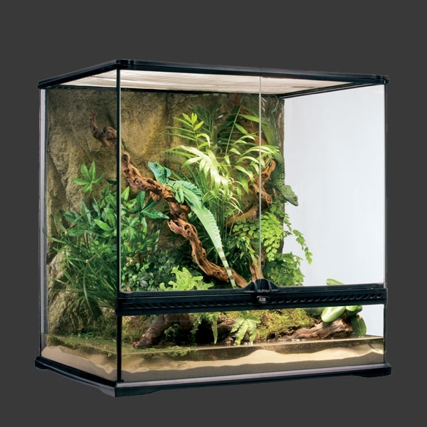 Cómo decorar un terrario de interior