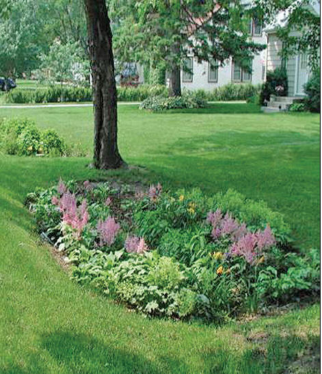 Cómo crear un jardín de lluvia para ahorrar agua