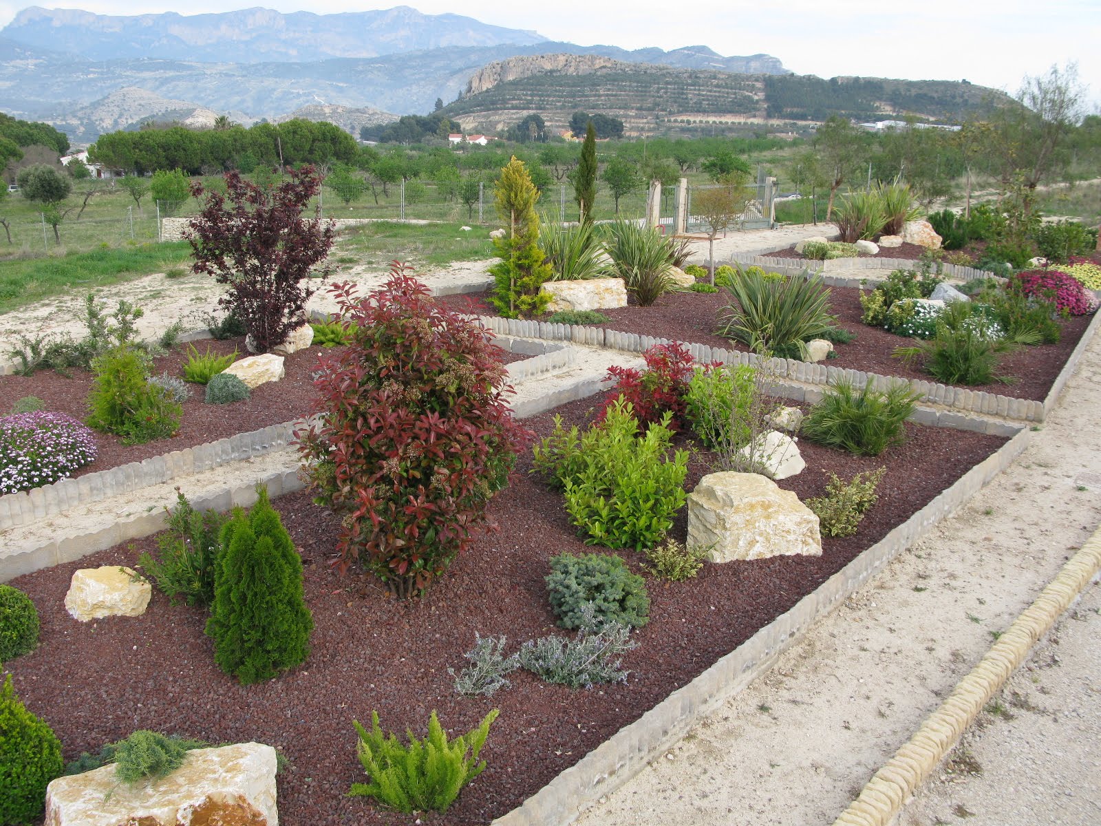 Ideas para diseñar un jardín mediterráneo Diseño Jardin, Jardin - Flor