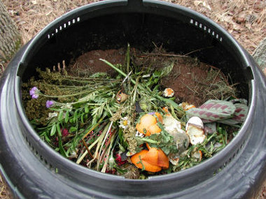 Cómo elaborar compost: ingredientes, proceso y utilización