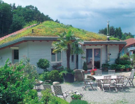 green_roof_1