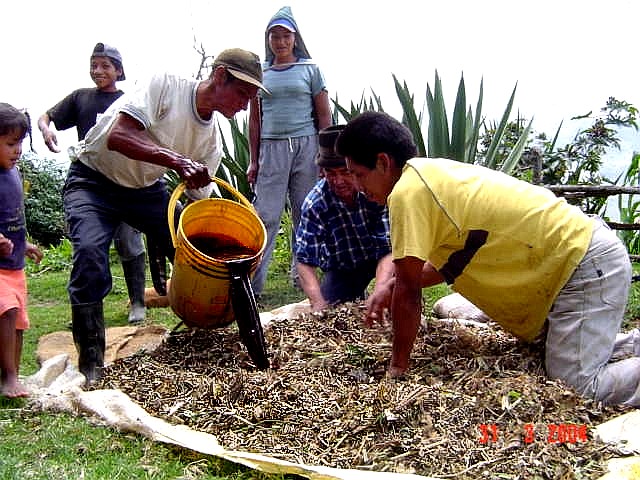 El diccionario del jardinero