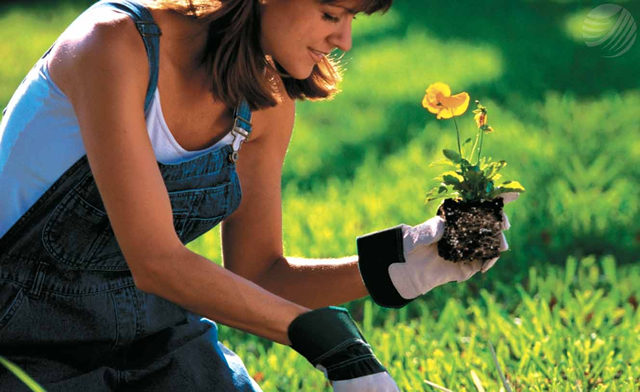 Cinco Tareas Básicas de Jardinería