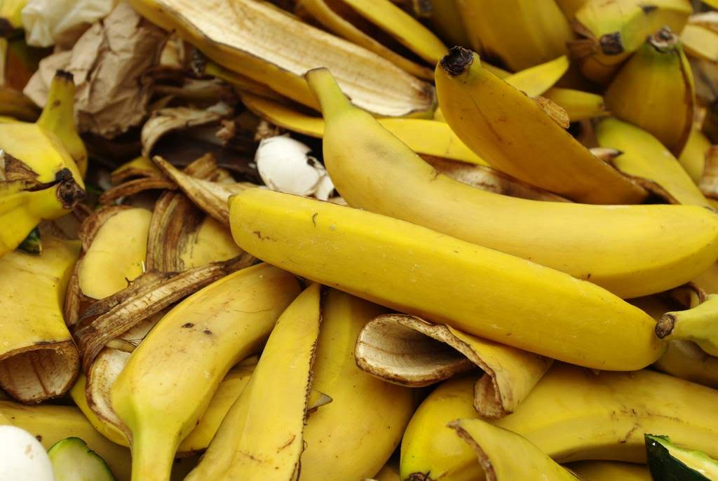 Fertilizantes caseros para las plantas: Alternativas variadas y económicas