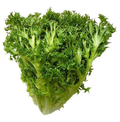 Huertas en el Hemisferio Sur: Qué vegetales conviene sembrar en marzo
