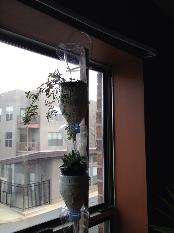 Huerto de ventana: Cómo construir un modelo básico