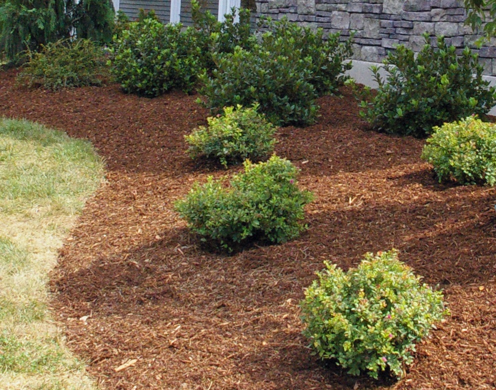 Qué es el «mulching» o mantillo y para qué sirve