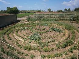 Cómo ahorrar agua en el riego de la huerta mediante el «mulching»