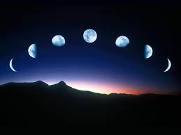 Cómo sembrar, nutrir y podar las plantas según las fases de la luna