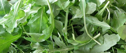 Cómo cultivar rúcula en casa