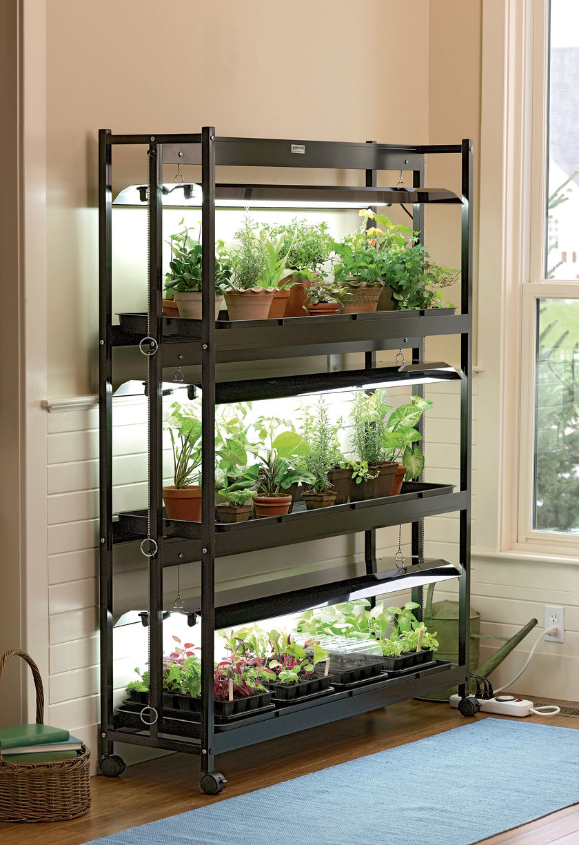 Luces artificiales para plantas de interior: Tipos y criterios de selección