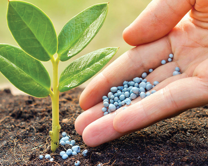 ¿Qué nutrientes necesitan las plantas de un jardín o huerta?