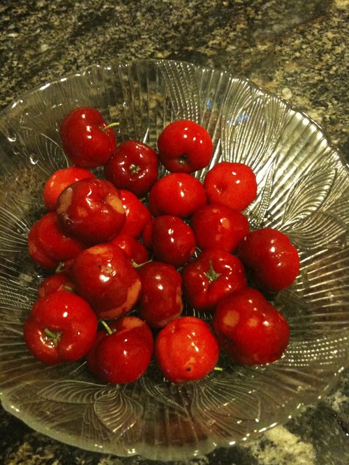 acerola2