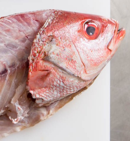 Cómo preparar un fertilizante orgánico a base de restos de pescado