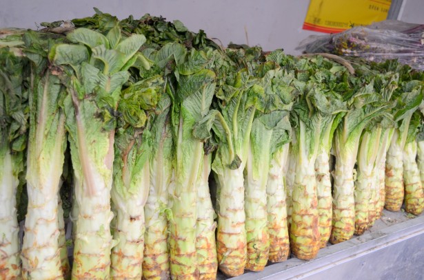 El huerto en casa: Qué es y cómo se cultiva la lechuga china ( Lactuca sativa var. asparagina)