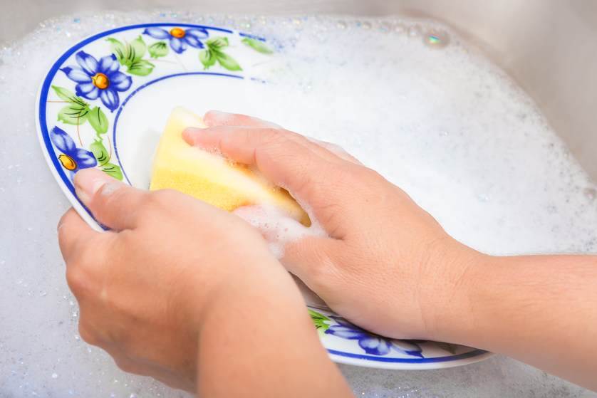 Más trucos caseros y naturales para eliminar las hormigas del jardín