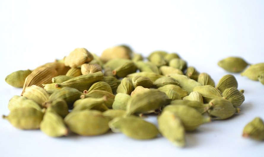 Cardamomo, Como Cultivarlo en el Jardín