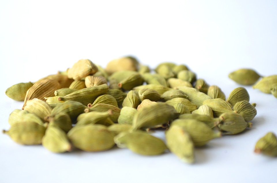 Cardamomo, Como Cultivarlo en el Jardín