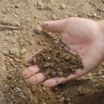 fertilizantes ecológicos