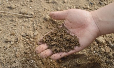 fertilizantes ecológicos