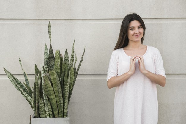 Sansevieria, cuidados y consejos