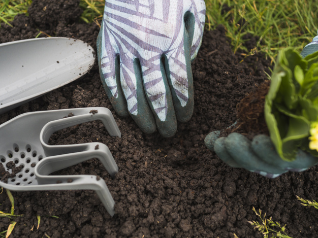 Compost, cómo hacerlo en casa