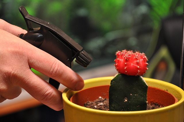 Beneficios del agua oxigenada para las plantas