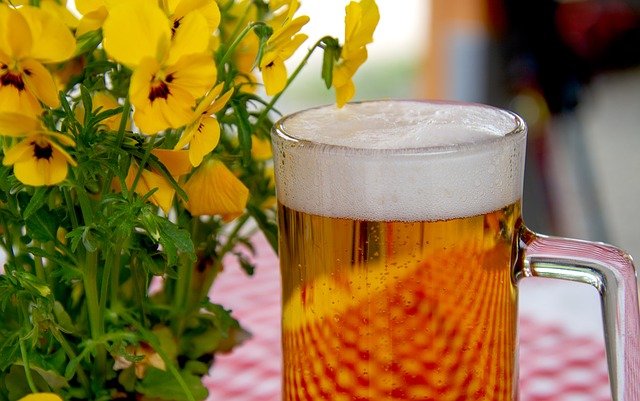 Cerveza, también la quieren tus plantas