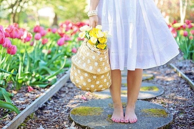 Tulipanes, el significado según su color