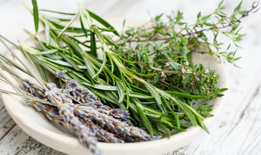 10 Hierbas aromáticas que no necesitan tierra