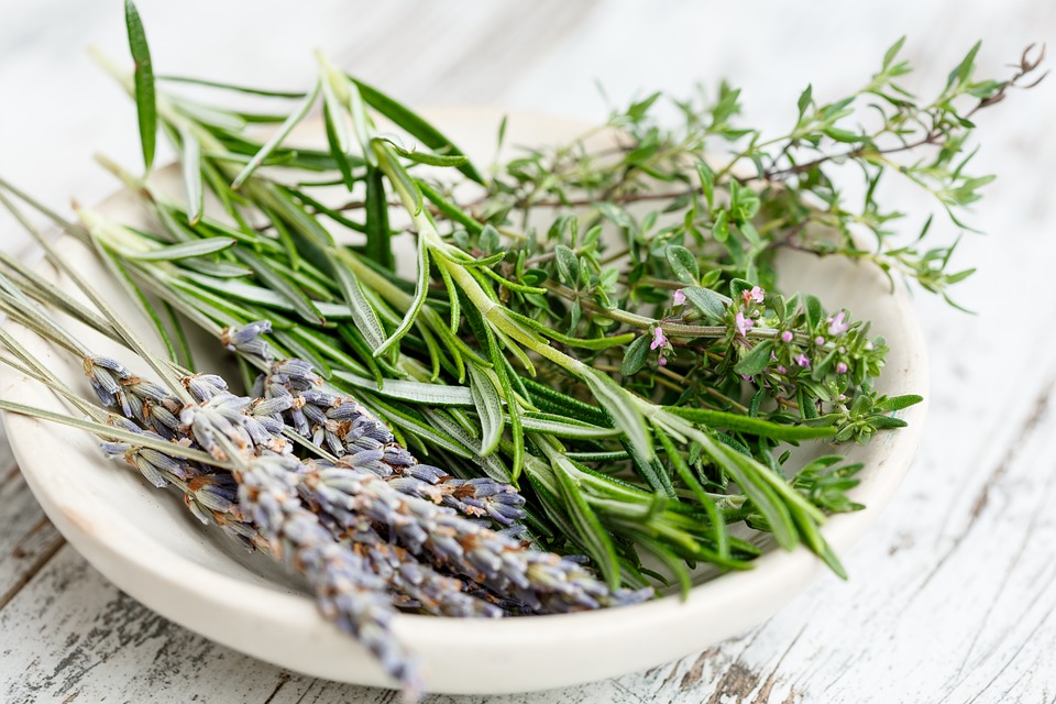 10 Hierbas aromáticas que no necesitan tierra