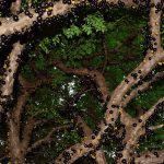 jabuticaba