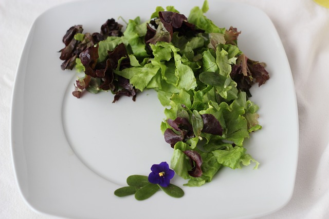 6 Suculentas y cactus que se pueden comer