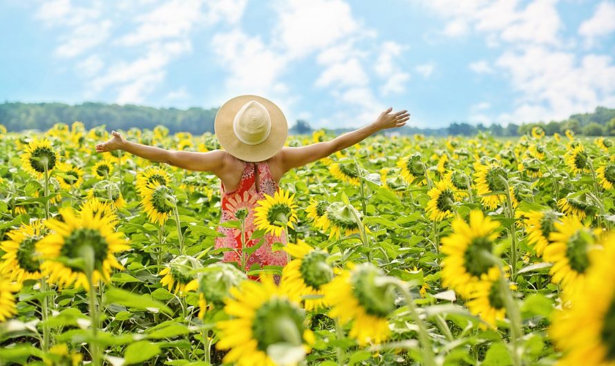 Plantas de Flores para Sembrar en Primavera
