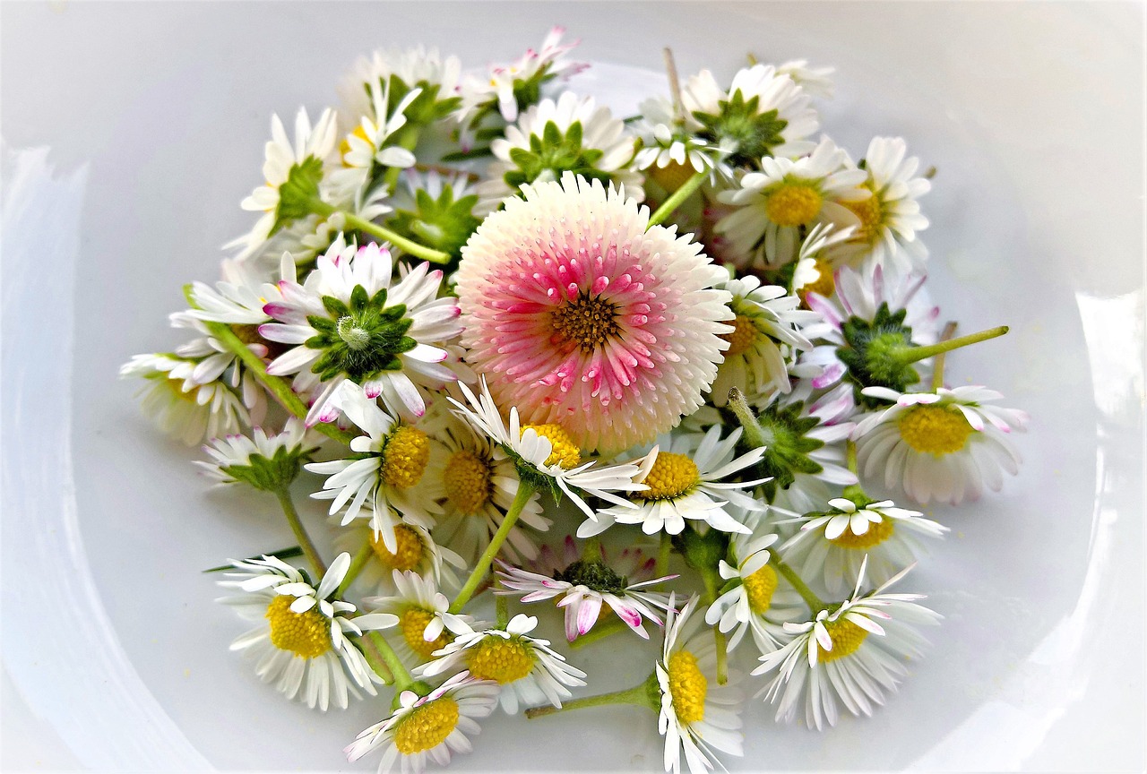 Flores Comestibles: Cómo Conservarlas