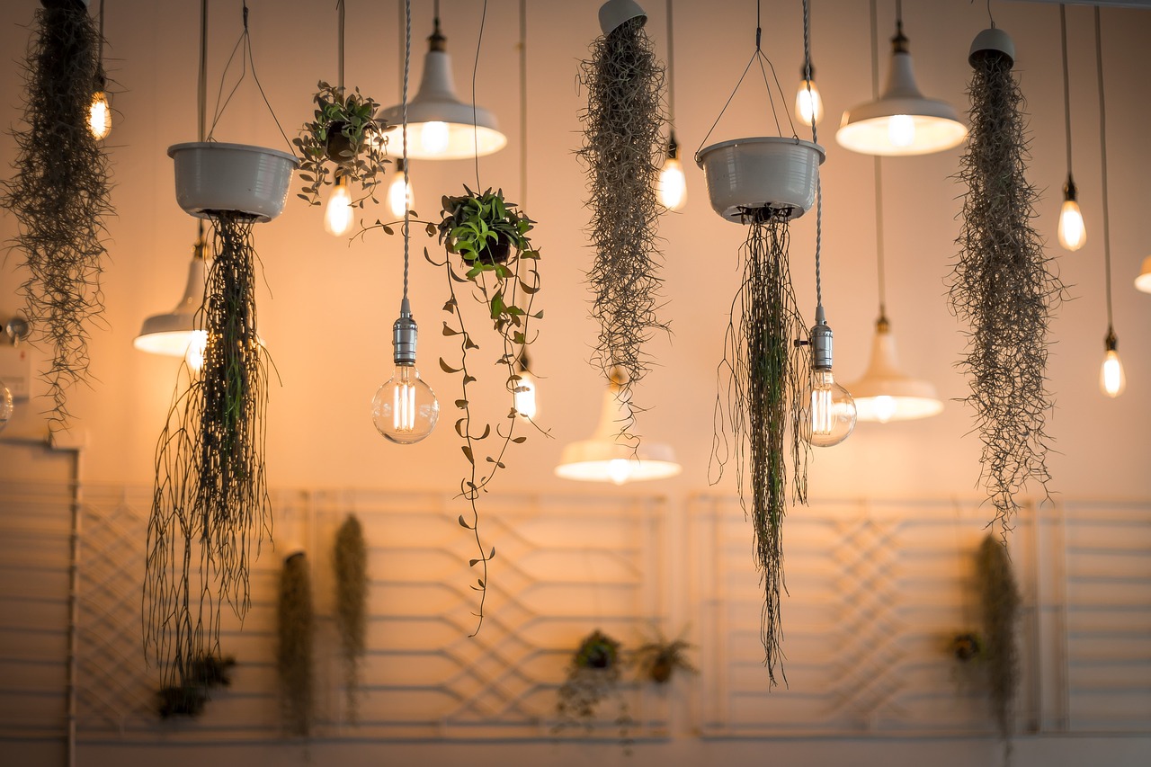 Plantas Colgantes para tu Hogar